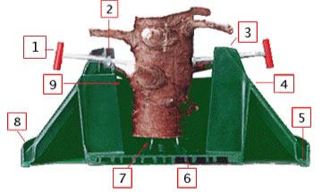 All Paws Pet Grooming